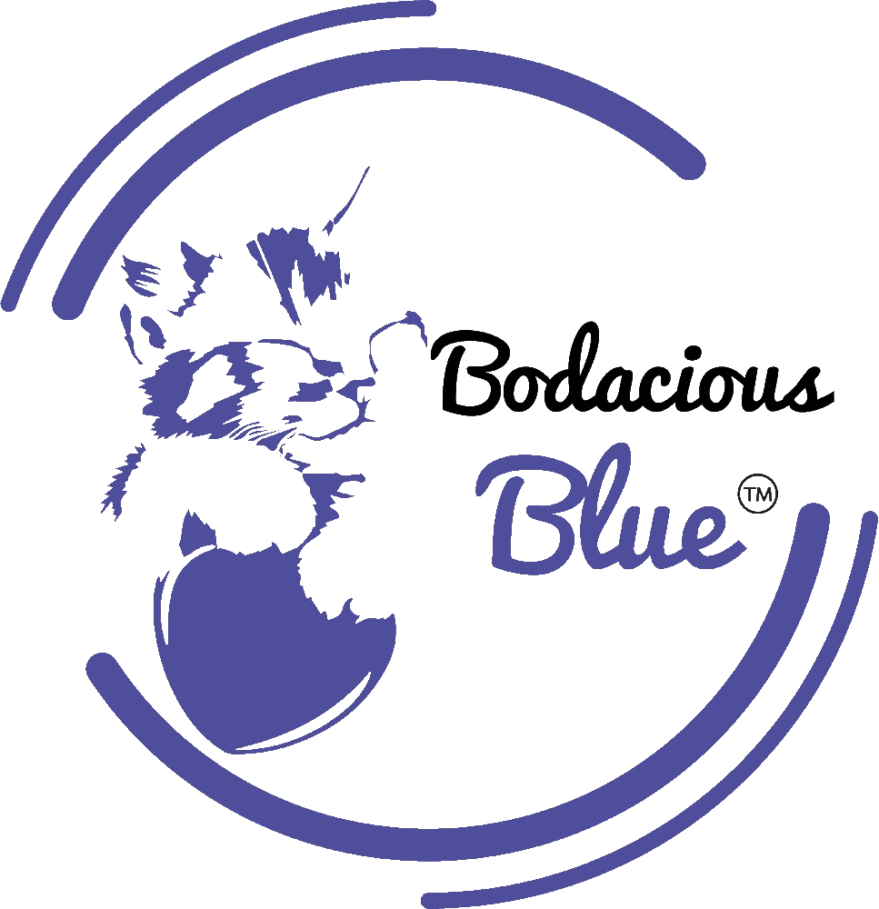 Bodacious Blue Logo with Transparent Background